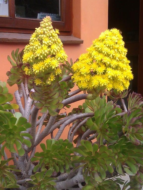 Hotel A La Mer Swakopmund Bagian luar foto