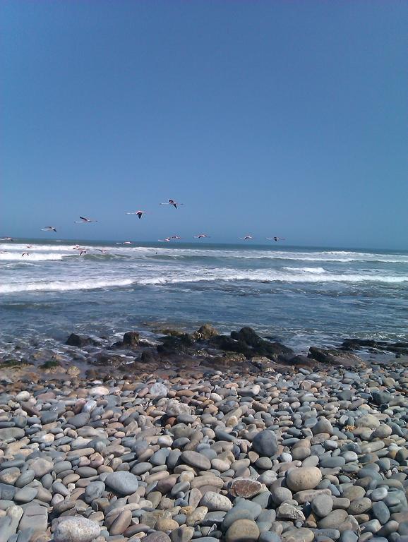 Hotel A La Mer Swakopmund Bagian luar foto